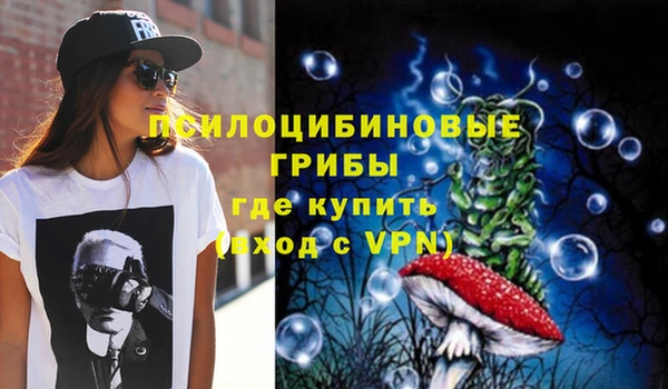 марки nbome Каменка