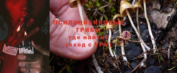 винт Каменск-Шахтинский