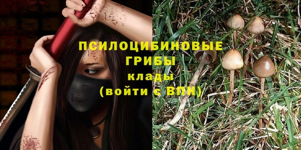 винт Каменск-Шахтинский