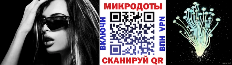 Купить закладки  Анжеро-Судженск  Псилоцибиновые грибы GOLDEN TEACHER 